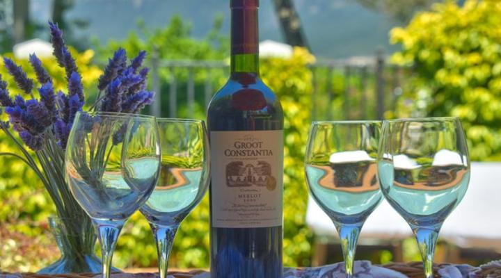 Dendron of Constantia