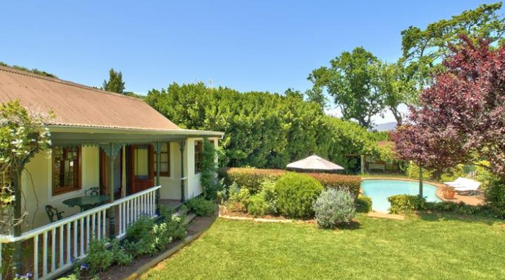 Dendron of Constantia