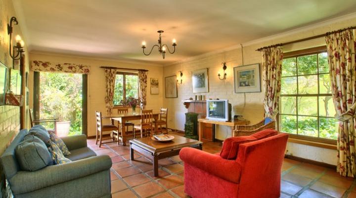 Dendron of Constantia