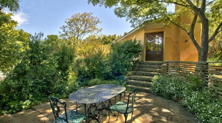 Dendron of Constantia