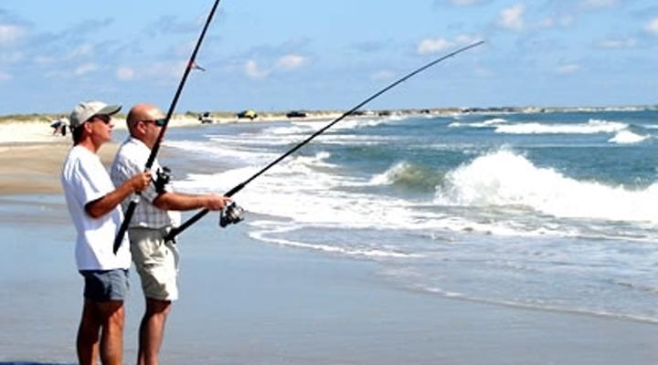 Seagull Holiday Flat