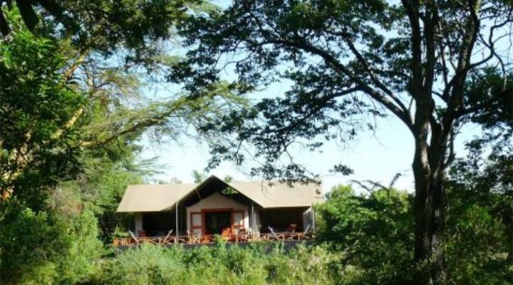 Muthaiga Black Leopard Camp