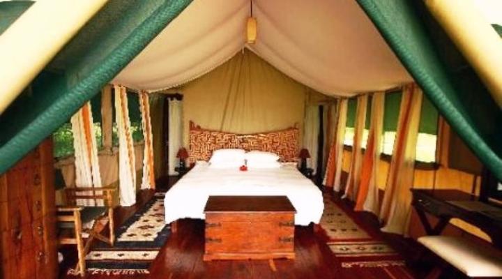 Muthaiga Black Leopard Camp