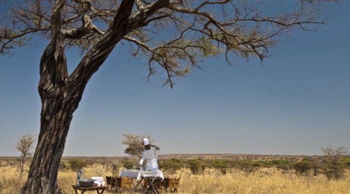 Elewana Collection - Tarangire Treetops