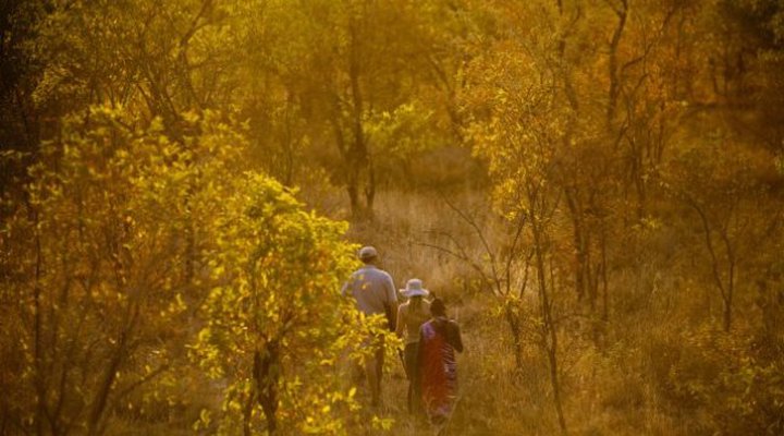 Elewana Collection - Tarangire Treetops