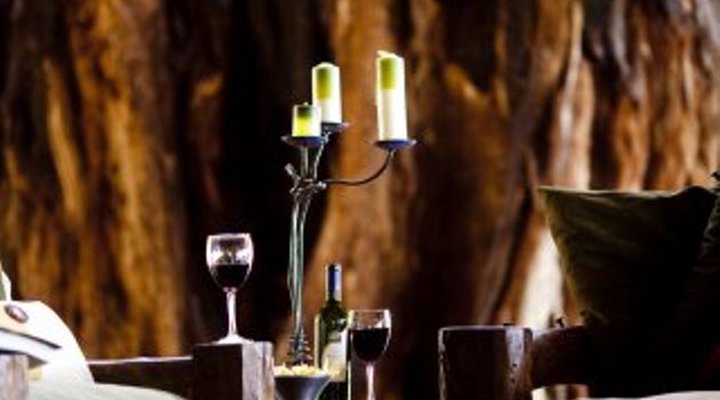Elewana Collection - Tarangire Treetops