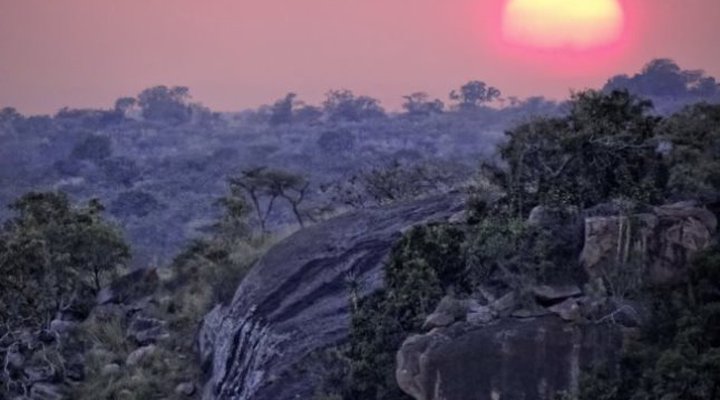 Elewana Collection - Tarangire Treetops