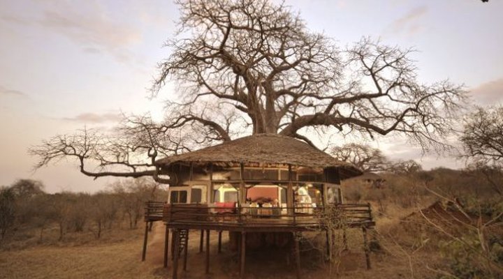 Elewana Collection - Tarangire Treetops