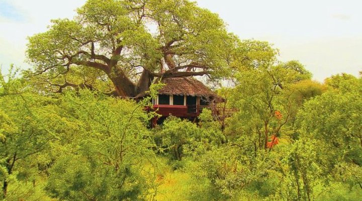 Elewana Collection - Tarangire Treetops