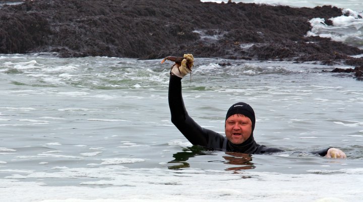 Sandfields Guest House