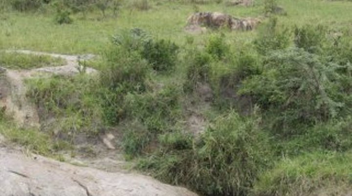 Elewana Collection - Serengeti Migration Camp