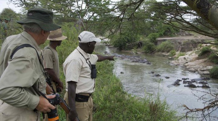 Elewana Collection - Serengeti Migration Camp
