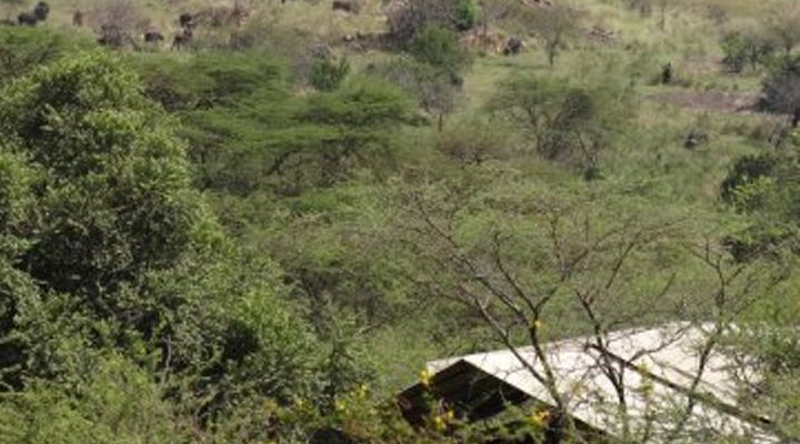 Elewana Collection - Serengeti Migration Camp