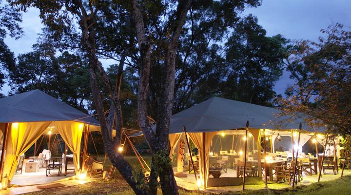 Mara Bush Camp