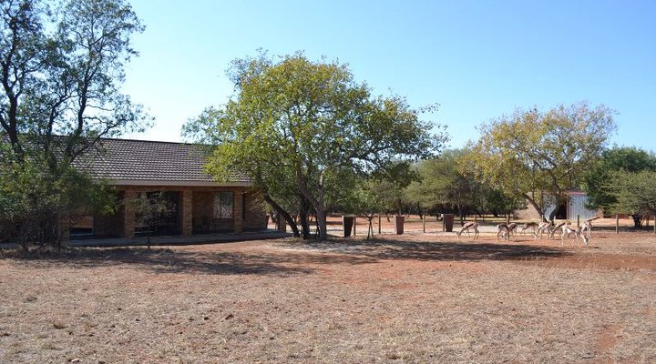 Tshepe Overnight