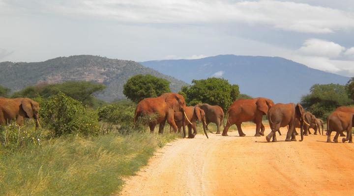 Galana Crocodile Camp