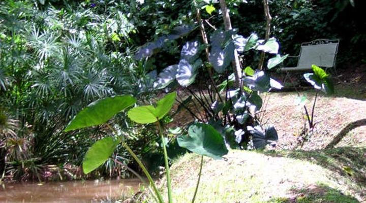 Rondo Retreat Centre