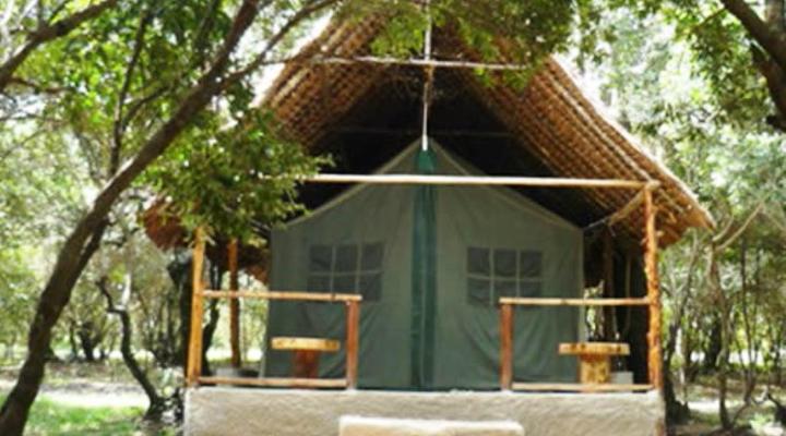Enchoro Wildlife Camp
