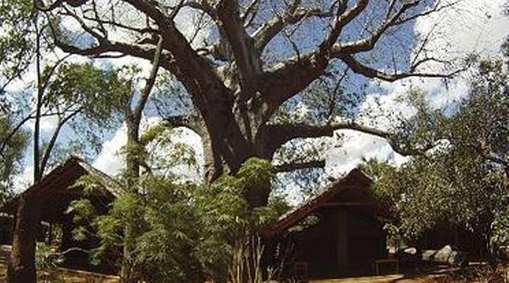 Tsavo Safari Camp