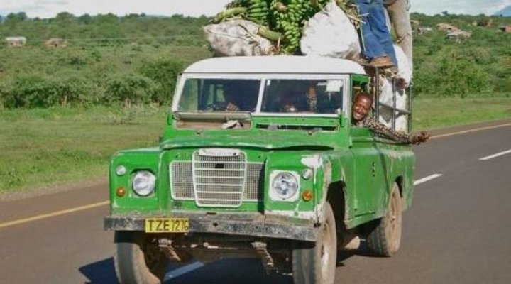 Octagon Safari Lodge