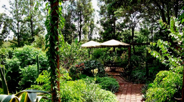 Octagon Safari Lodge