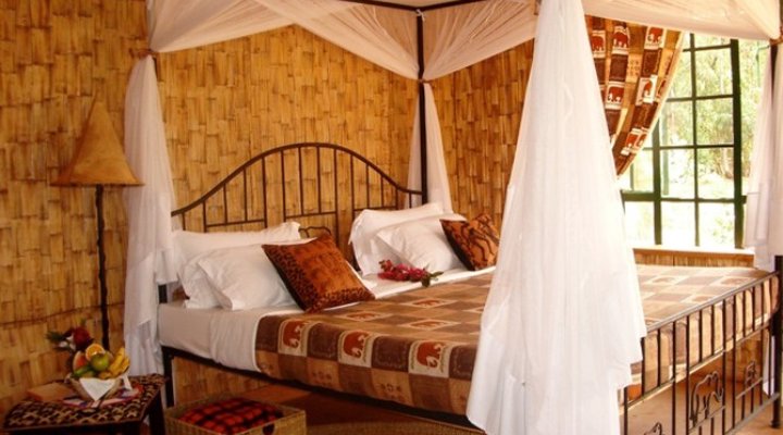 Octagon Safari Lodge