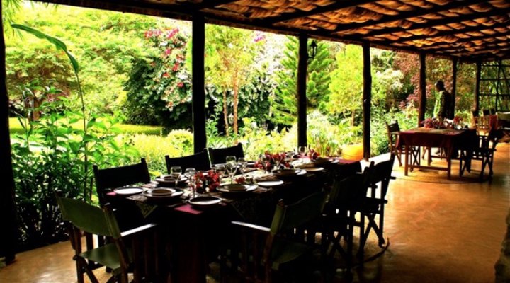 Octagon Safari Lodge