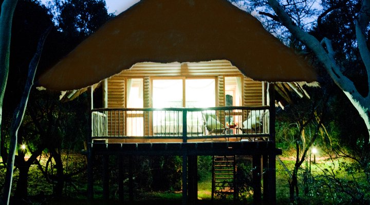 Ubizane Zululand Tree Lodge