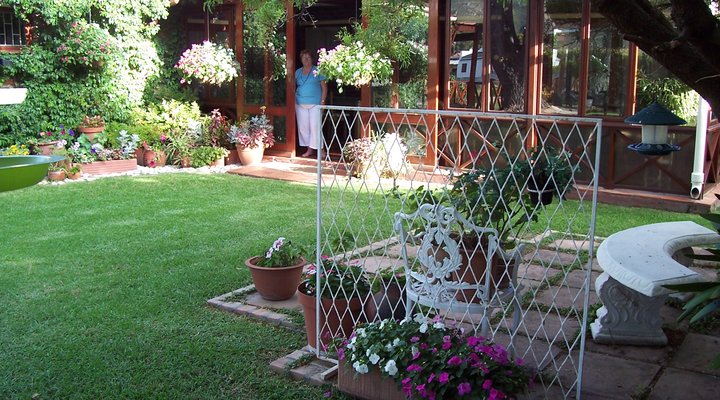 Pine Tree Cottage B&B