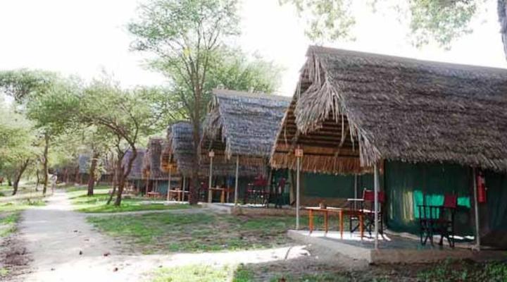 Tarangire Safari Lodge