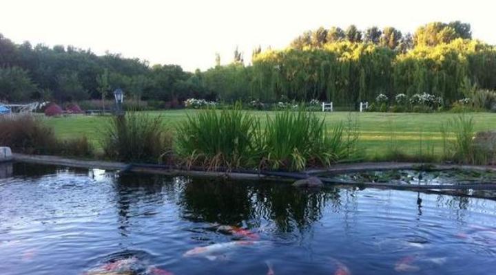 Tuff Top Self Catering