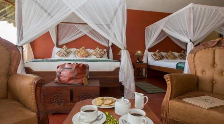 Serengeti Simba Lodge