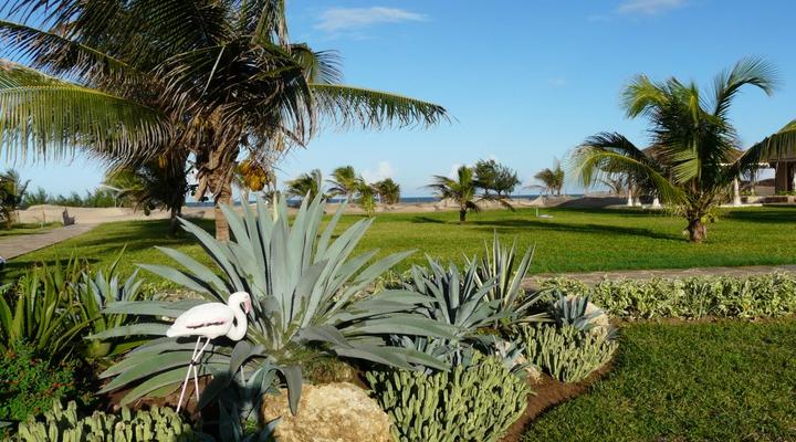 Ocean Beach Resort and Spa