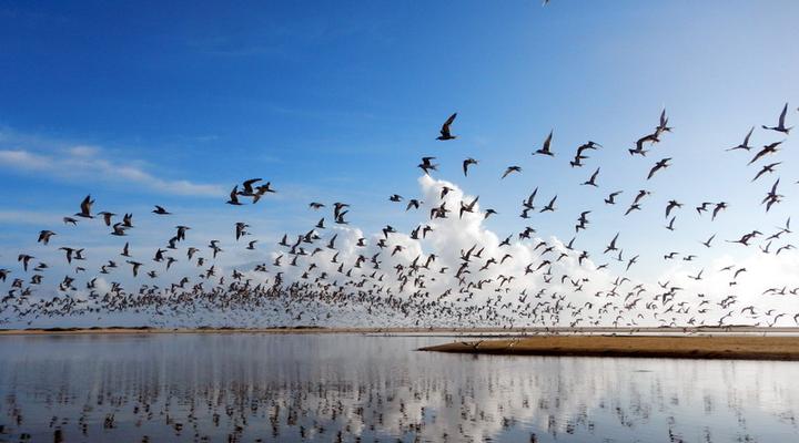 Casa Oito Chalet at Pomene Ridge