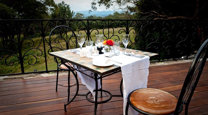 The Safari Collection - Giraffe Manor