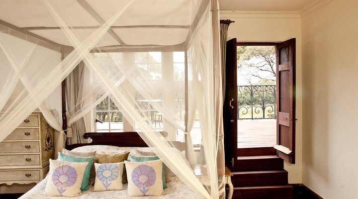 The Safari Collection - Giraffe Manor