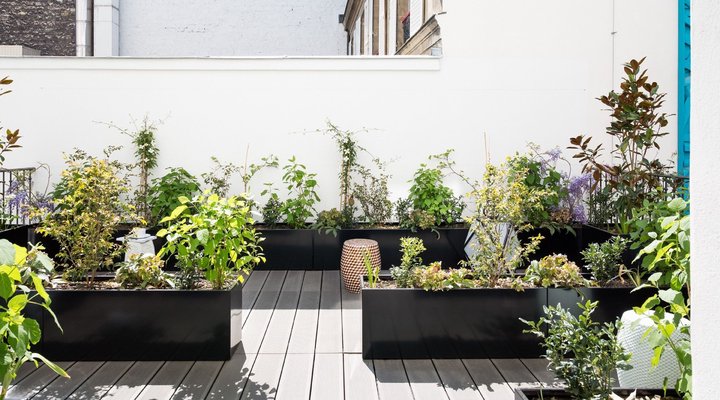 Hotel Les Bains Paris