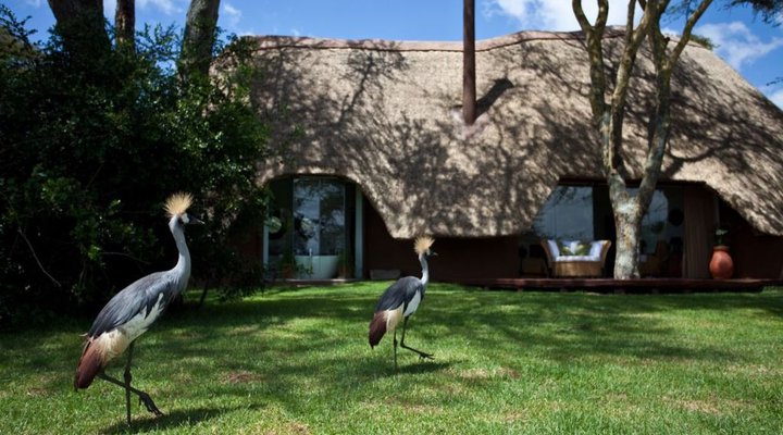 The Safari Collection - Solio Lodge