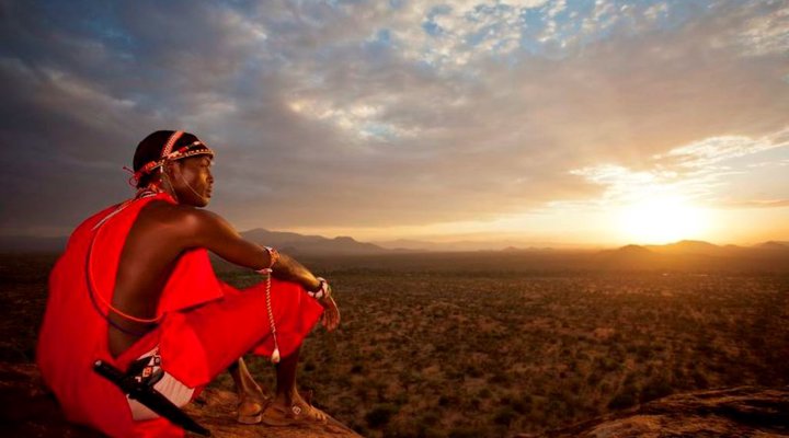 The Safari Collection - Sasaab