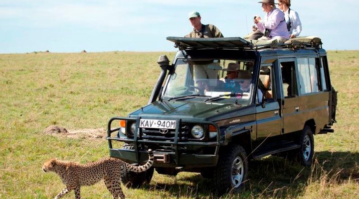 The Safari Collection - Sala's Camp