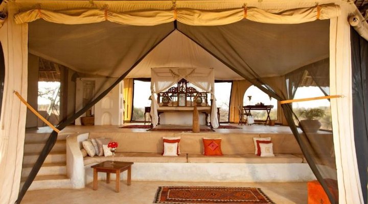 The Safari Collection - Sasaab