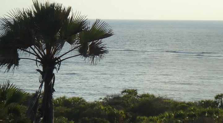 Changani Beach Cottages