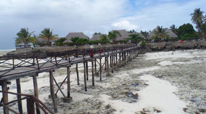 Ras Shungi Beach Resort