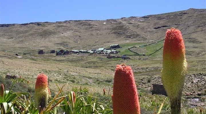 Tiffindell Ski and Alpine Resort