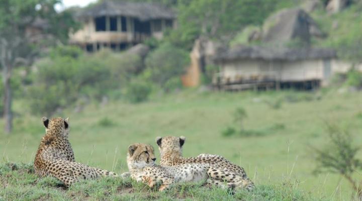 Nomad Tanzania - Lamai Serengeti