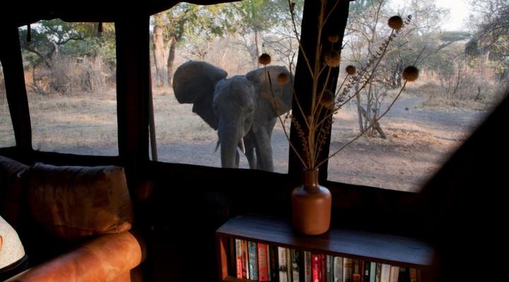 Nomad Tanzania - Chada Katavi