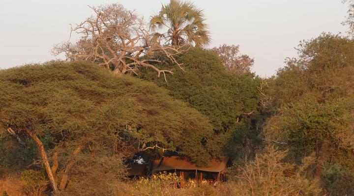 Nomad Tanzania - Chada Katavi