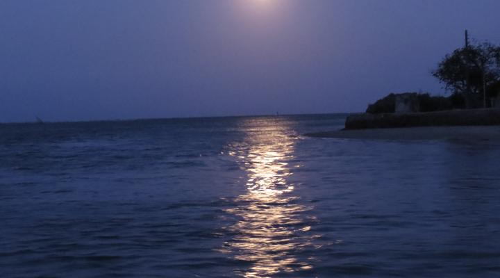 Mike's Beach Cottages