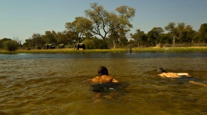 Selinda Explorers Camp