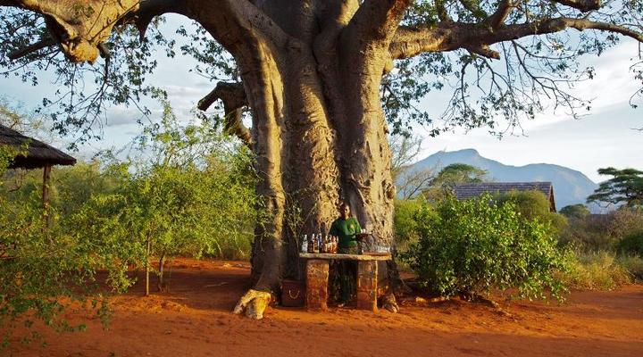 The Anasa Safari Collection - Babu's Camp